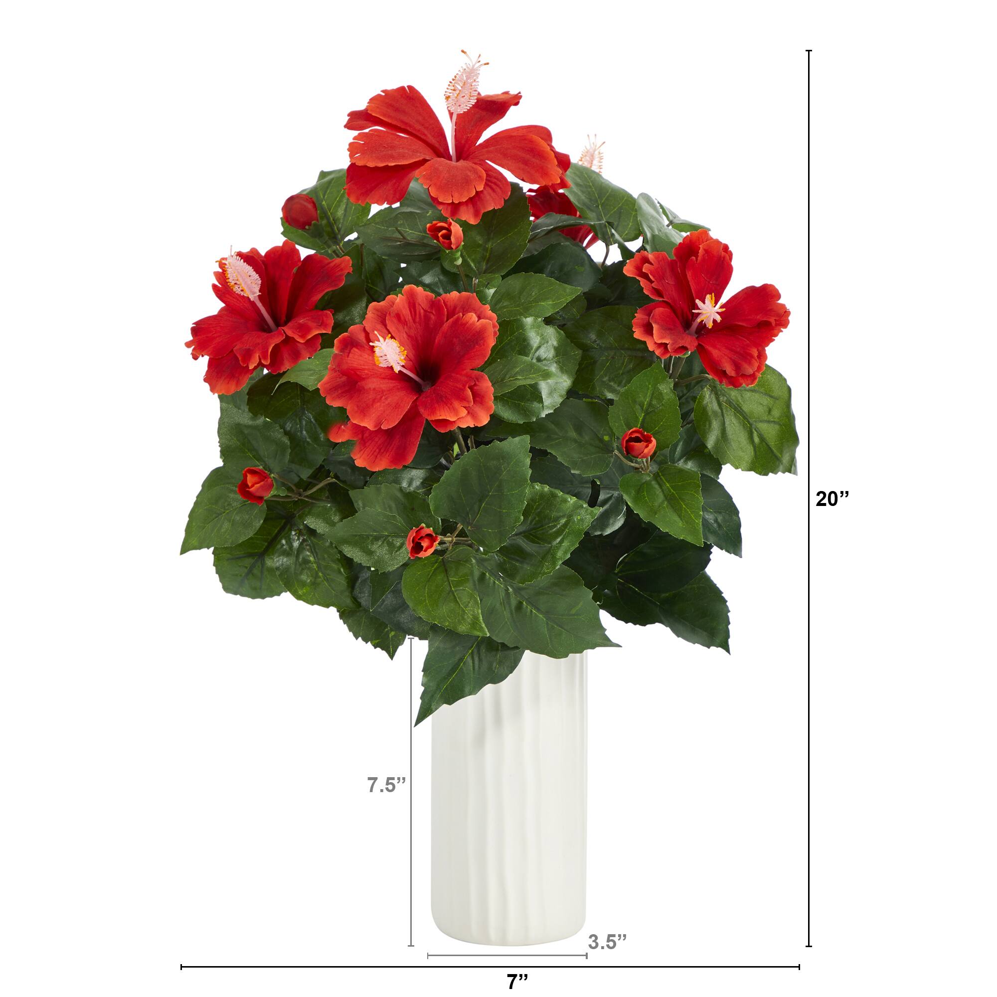 20" Hibiscus Plant in White Planter
